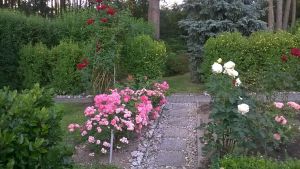 idealni RD s velkou zahradou-Plzen-sever 11