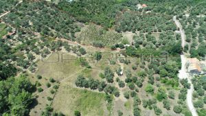 Object 100 m2 and agricultural land 23.260 m2 in Sipanska Luka, Dubrovnik 4