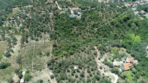 Object 100 m2 and agricultural land 23.260 m2 in Sipanska Luka, Dubrovnik 7