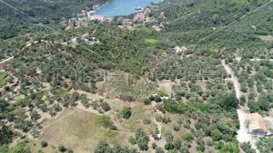 Object 100 m2 and agricultural land 23.260 m2 in Sipanska Luka, Dubrovnik 6