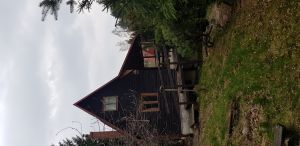 chata u lesa na prodej 2