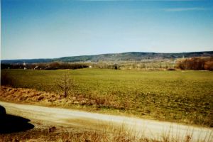Exkluzivně k prodeji různý souboru pozemků v obce Cisovice 4