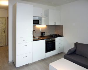 pronájem krásného bytu 1+1 s lodžií 40,5 m² 1