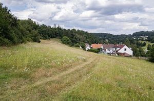 Prodej stavebního pozemku - Popovice u Benešova 8