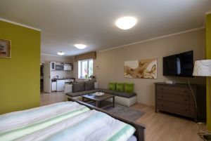 Pronájem zařízený apartmán, Starý Jičín 8