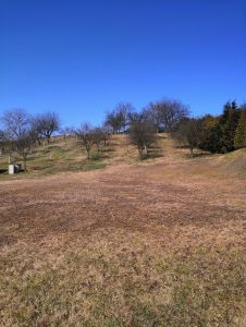 Stavební pozemek se zahradou (1456 m²) – Buk u Přerova 5