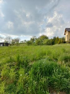 Stavební pozemek se zahradou (1456 m²) – Buk u Přerova 1