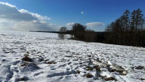 Prodej, lesní pozemek, 32.970 m2, Stolín, Náchod 5