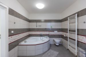 Prodej komerční objekt s ubytováním, Starý Jičín 15