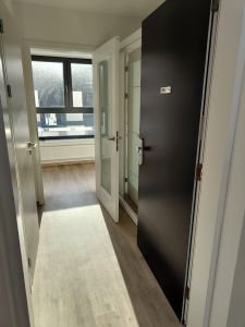 Pronájem 1+kk s terasou v Kuřimi – zeleň, klid 6